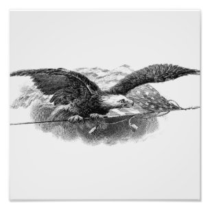 The eagle carries the American flag Photo Print