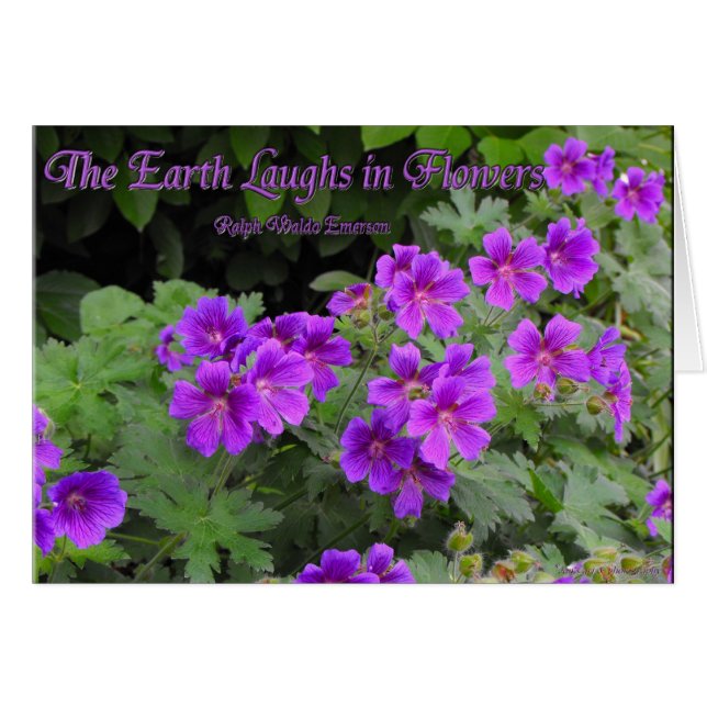 The Earth Laughs in Flowers (Front Horizontal)