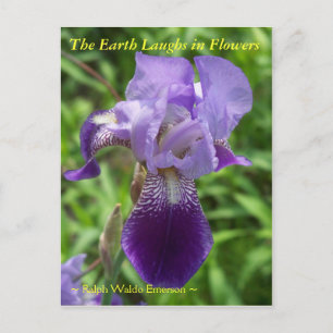 THE EARTH LAUGHS IN FLOWERS - IRIS POSTCARD