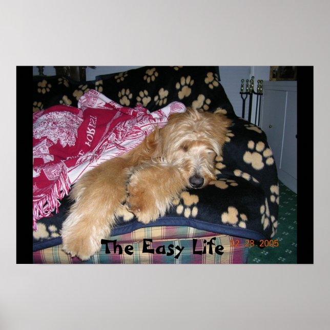 The Easy Life Poster (Front)