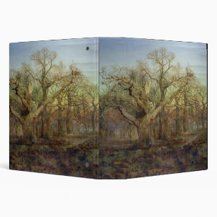 The Edge of Sherwood Forest, 1878 Binder