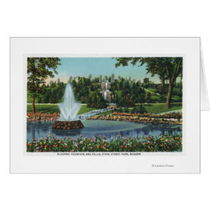 The Electric Fountain and Falls