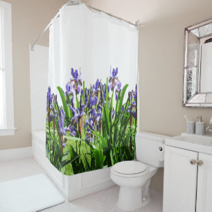 THE ELEGANT IRIS FLOWER