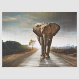 The Elephant Tissue Paper