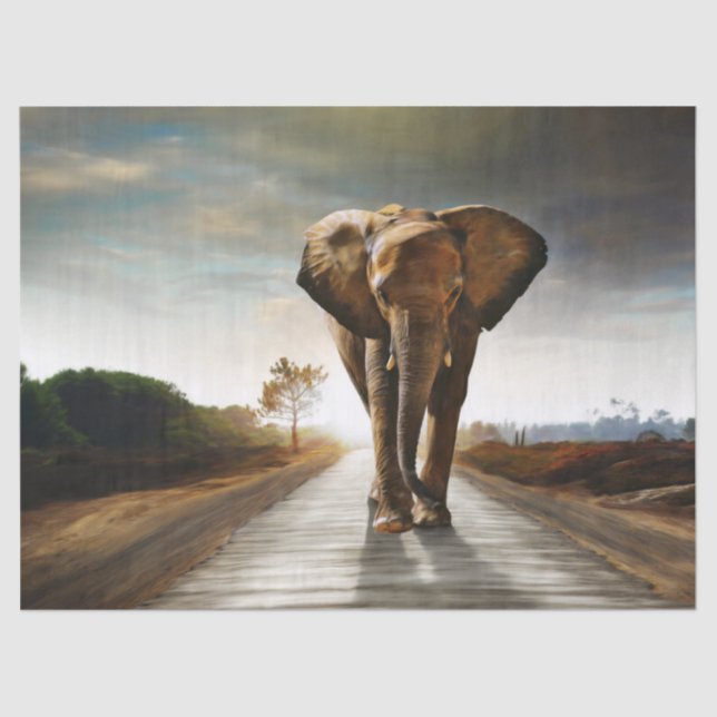 The Elephant Tissue Paper (Front)