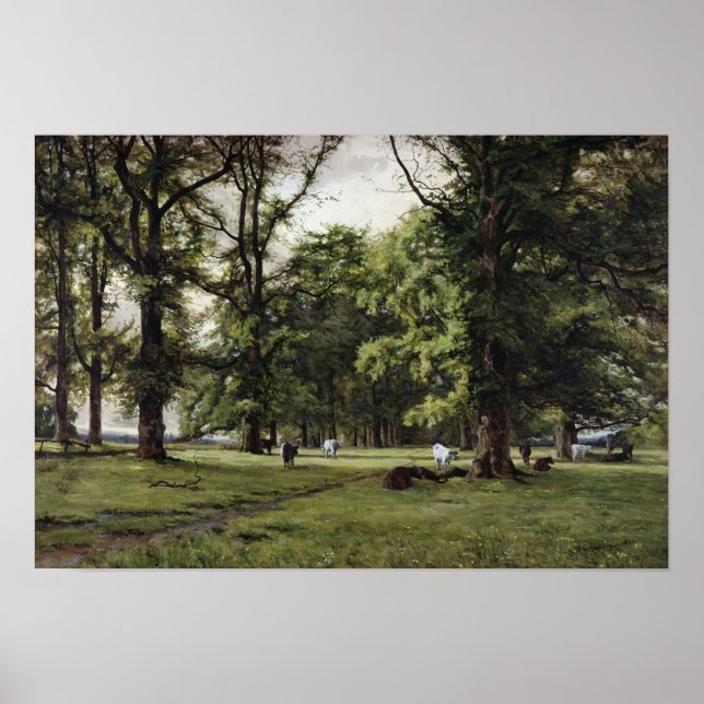 The Elm Walk Poster (Front)