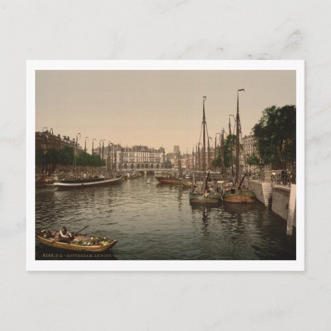 The Embankment, Rotterdam, Netherlands Postcard (Front)