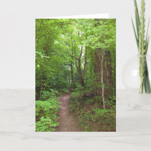 The Enchanted Forest (3) Greeting Cards