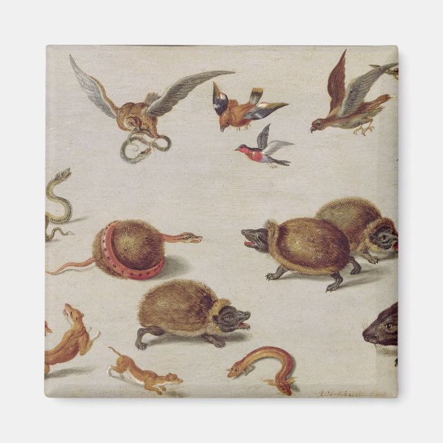 The Enemies of Snakes Magnet (Front)