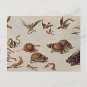 The Enemies of Snakes Postcard
