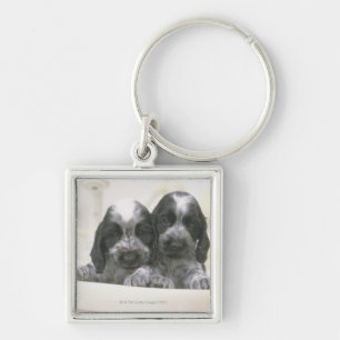 The English Cocker Spaniel is a breed of dog. It Keychain