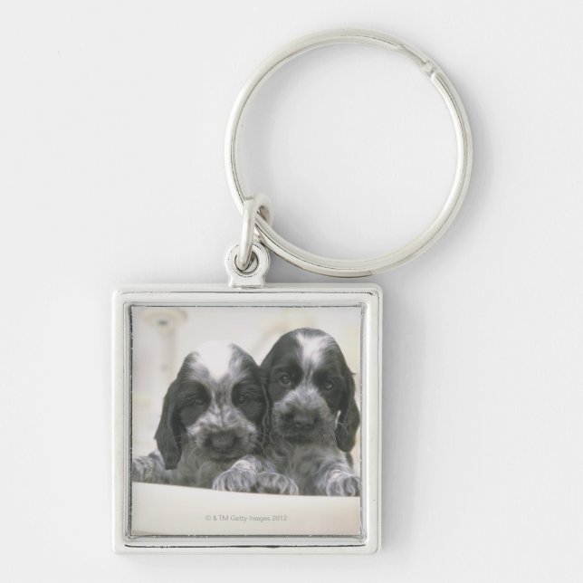 The English Cocker Spaniel is a breed of dog. It Keychain (Front)