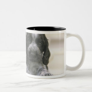 The English Cocker Spaniel is a breed of dog. It Two-Tone Coffee Mug