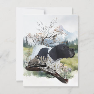 The English Pointer Postcard