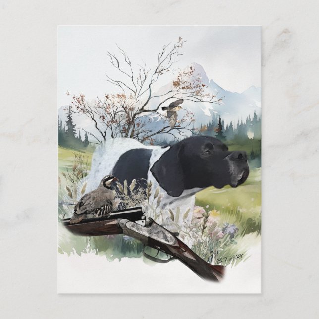 The English Pointer Postcard (Front)