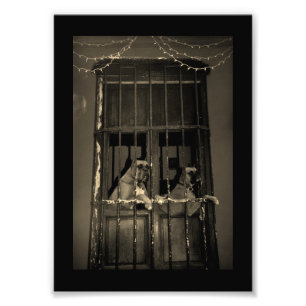 The Escape Plan Photo Print