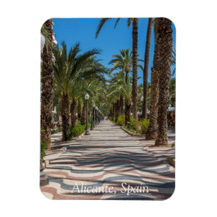 The Esplanade, Alicante, Spain Magnet