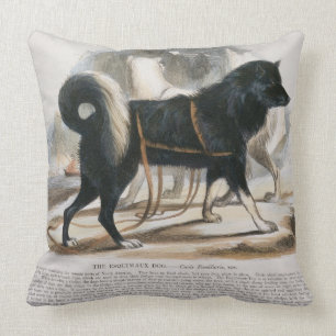 The Esquimaux Dog (Canis familiaris) educational i Throw Pillow