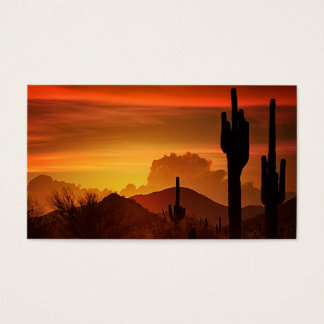 The Essence of the Southwest