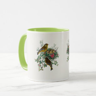 The European greenfinch  Mug