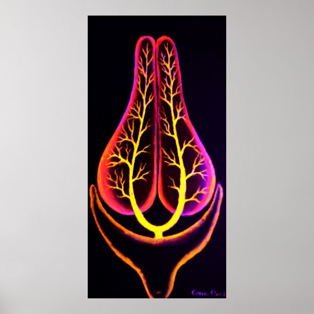 The excretory system of a fish poster (Front)