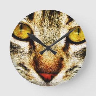 The expressive look of a domestic cat round clock