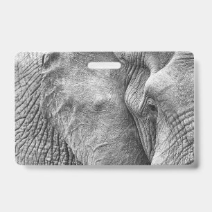 The eye of an elephant badge