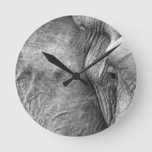 The eye of an elephant round clock