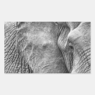 The eye of an elephant sticker