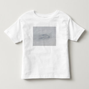 The eye of Hurricane BIll Toddler T-shirt