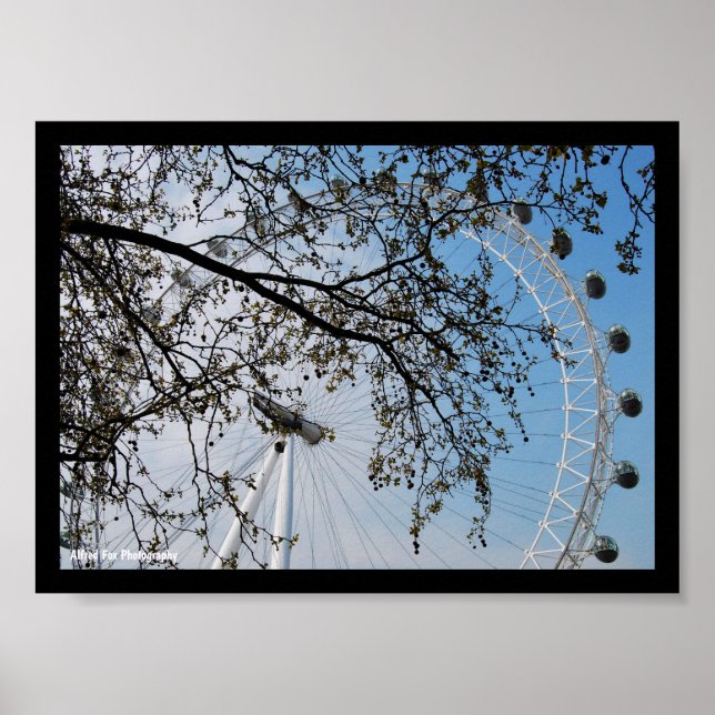 The Eye through Autumn Leaves Poster (Front)
