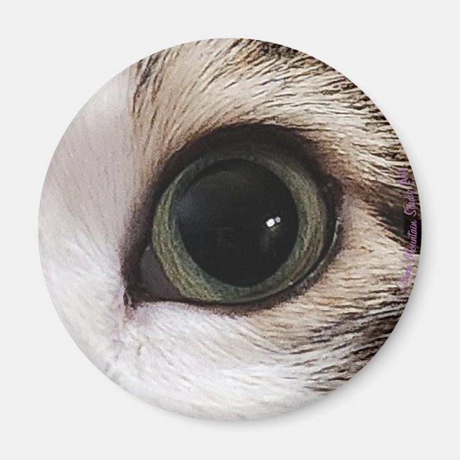 "The Eyes Have It" cat eye #2 magnet (Front)