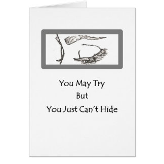 The Eyes Say It All Collection