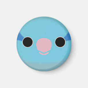 The face of a blue male Pacific parrotlet Magnet