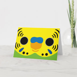 The face of a normal male budgie card