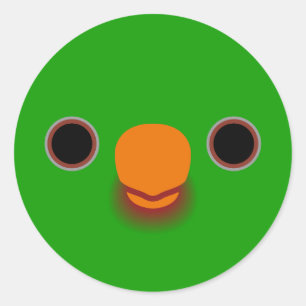The face of a Palm lorikeet Classic Round Sticker