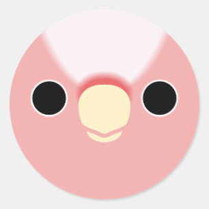 The face of a Pink Cockatoo Classic Round Sticker