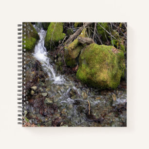 The Fae's waterfall.... Notebook