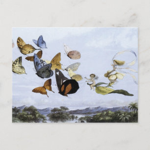 The Fairy Queen Takes an Airy Drive Postcard