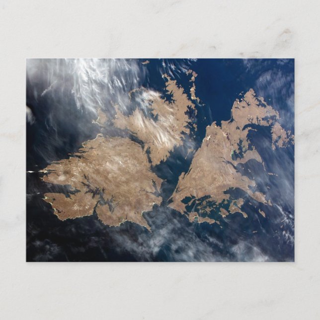 The Falkland Islands (Islas Malvinas). Postcard (Front)