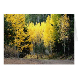 The fall colours were GREAT