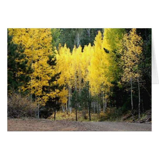 The fall colours were GREAT Card