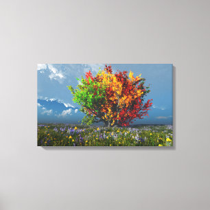 The Fall Spectrum (Afternoon) Canvas Print