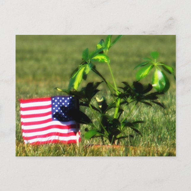 The Fallen Postcard (Front)