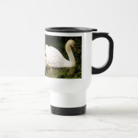 The Father and Son of the Swan