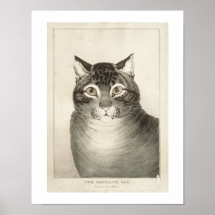 The Favorite Cat Vintage Print