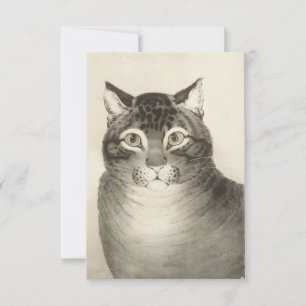 The Favourite Cat Greeting Card