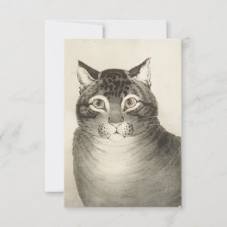 The Favourite Cat Greeting Card