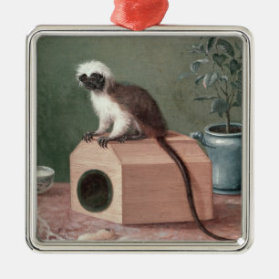 The Favourite Monkey of Carl Linnaeus Metal Ornament