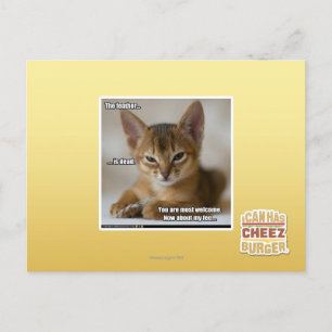 The feather is dead. postcard